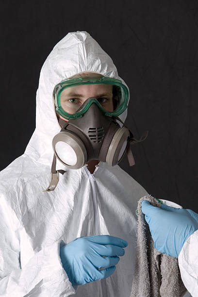 Asbestos and Lead Testing During Mold Inspection in Park Ridge, IL